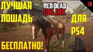 RED DEAD ONLINE - ЛУЧШАЯ ЛОШАДЬ БЕСПЛАТНО (PS4)