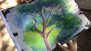 Пленэр | Рисую сухой пастелью в Воронцовском парке, Алупка