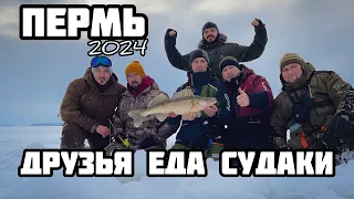 Пермь 2024. Судак и люди.