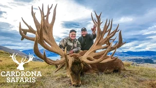 World Record Red Stag Hunting with Venator Cardrona Safaris