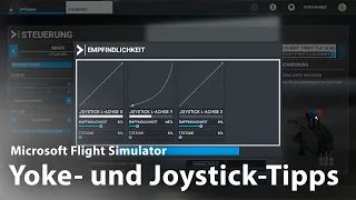 Joystick-, Yoke und Pedaltipps für den Flight Simulator