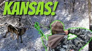 KANSAS Public Land Bow Hunting - Solo out of state Hunt🦌