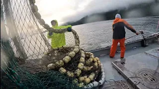 Point of view : you work on a salmon boat in Alaska part 1