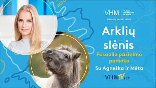 Arklių slėnis (1-6 kl.) VHM TV