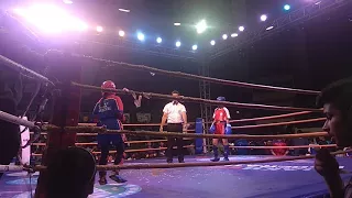 National kickboxing federation cup 2018 in January