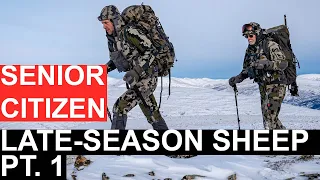 Dall's Sheep and Mountain Caribou in Yukon's Wintery Mountains Part 1 of 4