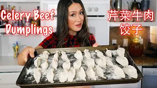 Chinese celery beef dumplings for  my circus 芹菜牛肉饺子