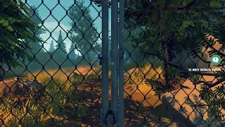 Firewatch. #5. День 76. Забор посреди леса