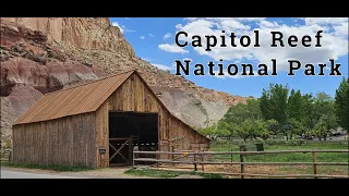 Capitol Reef National Park with The Rife Life!!