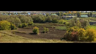 Бизнес на чесноке. Начало нового сезона, обзор участка