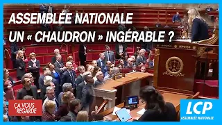 L'Assemblée nationale : un « chaudron » ingérable ? - Ça vous regarde - 09/11/2022