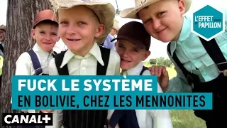 Fuck le système : En Bolivie, chez les Mennonites - L’Effet Papillon