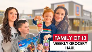 Aldi Grocery Haul For 11 Kids With Meal Plan And Recipes!