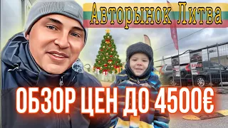 Обзор цен до 4500€ автомобили в Литве авторынок Каунас