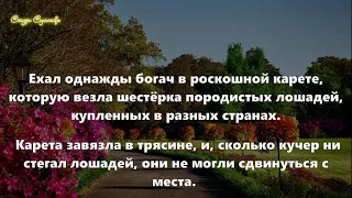 Притча о гордости и смирении | Притча про ведро яблок