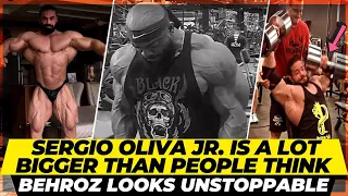 Will this be the Best Sergio Oliva Jr. ? Behroz Tabani is gonna win the Arnold Brazil + Gym Fail