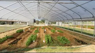 Adapting and Expanding Organic High Tunnel Vegetable Production