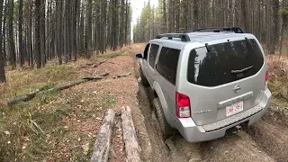 lightish off roading R51 nissan  Pathfinder