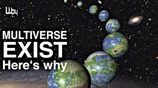 Why Parallel Worlds Probably Exist || Multiverse Theory
