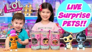 UNBOXING LOL SURPRISE INTERACTIVE LIVE SURPRISE PETS | FUZZY FAN, BUNNY HUN, HOOPS DOGG #PETSOFLOL