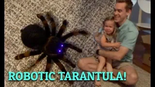 SCARY ROBOTIC TARANTULA! | Ezra's 5th Birthday Week