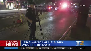 NYPD: Woman killed in Bronx hit-and-run