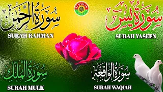 Ep 218 Surah Yaseen 🕋 Surah Rahman 🕋  Surah Waqiah 🌹Surah Mulk 🌹 Ayatul Kursi @IQRAALQURANKARIM