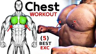 5 Best Chest Exercises YOU Should Be Doing 2023