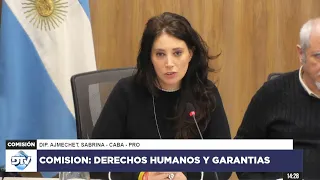 COMISIÓN COMPLETA: DERECHOS HUMANOS Y GARANTÍAS - 22 de mayo de 2024 - Diputados Argentina