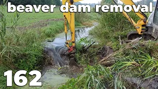 Two Muddy Dams - Beaver Dam Removal With Excavator No.162