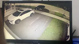 Lexus theft attempt