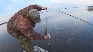 Вылов рыбы сетями. Рыбалка на Крайнем Севере. Fishing with nets.