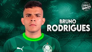 Bruno Rodrigues ► Bem vindo ao Palmeiras (OFICIAL) ● 2023 | HD