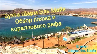 Пляж отеля Albatros Sharm 4*/Beach Albatros Resort, подводный видеообзор бухты Шарм Эль Майя