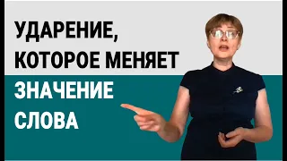 Ударение, которое меняет значение слова #shorts