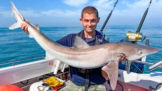 Shark Fishing in the English Channel - FishLocker Sea Fishing UK Tope | The FishLocker