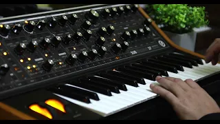 Gansta Whistle preset - Moog Subsequent