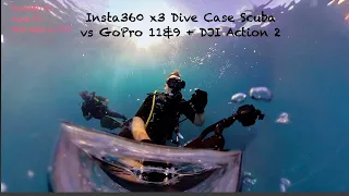 Insta360 X3 Dive Case Footage and Comparison vs GoPro Hero 11 &...More #insta360x3