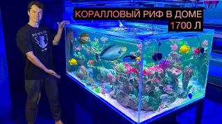 ОБЗОР РЫБЫ В РИФОВОМ АКВАРИУМЕ