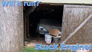 FORGOTTEN Ford Mustang Under House for 21 Years! Will it run? Rescue Part 1