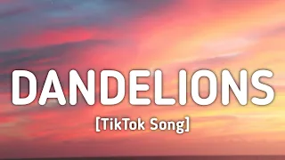 Ruth B. - Dandelions (Lyrics) "I'm in a field of dandelions" [TikTok Song]