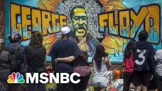 Renée Graham: An ‘Entire System’ Is On Trial With Derek Chauvin | The Last Word | MSNBC