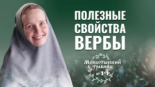 Чай из коры ивы (вербы) — полезные свойства и противопоказания. Монастырский травник