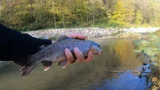 Paint Creek Iowa Driftless morning fishing