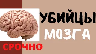 Мы сами гробим свой мозг. 4 привычки, о которых нужно забыть