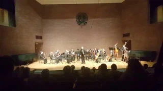Béla Bartók - Allegro Barbaro (19ii) for String Orchestra