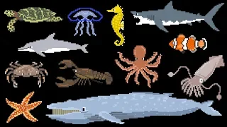 Animals Under the Sea - Book Version - Whale, Lobster, Octopus & More - The Kids' Picture Show