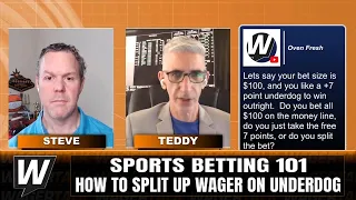 How to Bet on Underdogs Across All Sports | Betting 101 | WagerTalk Sports Betting Strategies