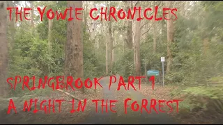 YOWIE/BIGFOOT EXPEDITION: CHRONICLE 28: SPRINGBROOK PART 1: A NIGHT IN THE FORREST