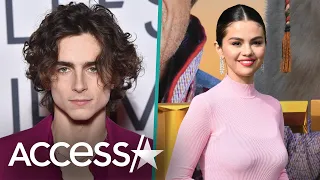 Selena Gomez & Timothée Chalamet Go On IG Live While He Waits To Vote